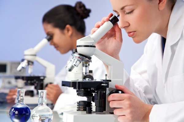B.Sc., Medical Laboratory Technology