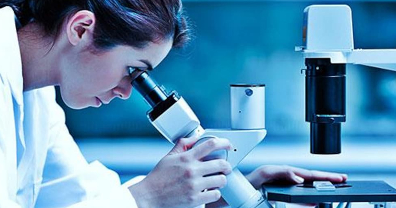 MLT - Medical Laboratory Technology