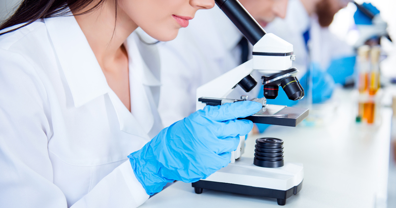 MSc Medical Microbiology